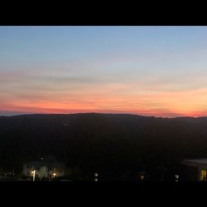 Meet your Posher, Jane